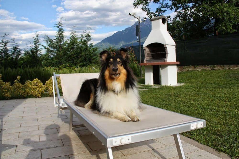 Aparthotel Paradiso *